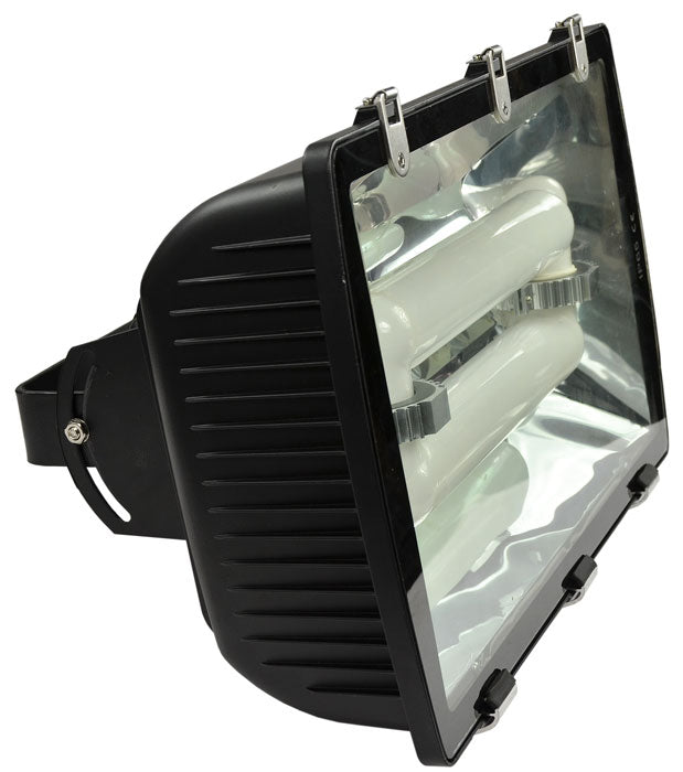 Induction Tunnel, Wall, and Flood Light Fixture 200 Watts