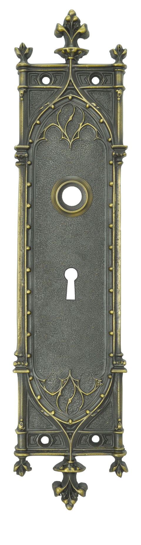 Victorian Amiens Gothic Door Plate with Keyhole 13 5/8" Tall