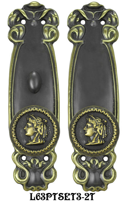 Art Nouveau Door Plate Passage Set with Locking Turnlatch