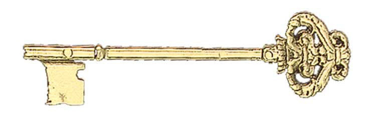 Extra or Replacement Skeleton Key for ZLW-110 Surface Mount Rim Lock