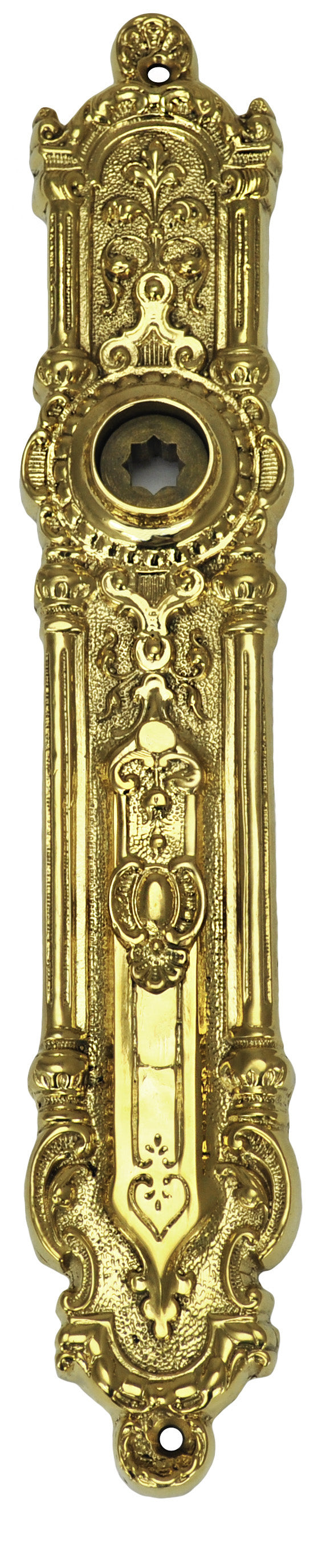 Superb Narrow Door Plate With Spring Assisted Center (ZLW-249SH)